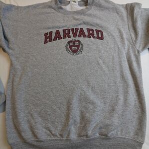 HARVARD Ivy League Grey Sweatshirt by Champion Size Medium